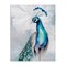 Stupell Industries Soft Elegant Peacock Portrait Canvas Wall Art Design by Kim Allen